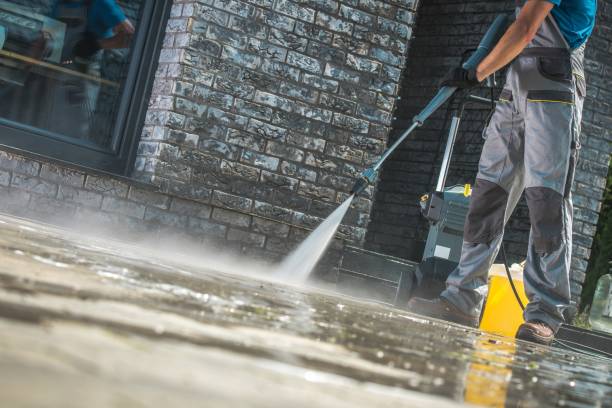 Best Gutter Cleaning  in La Plata, NM